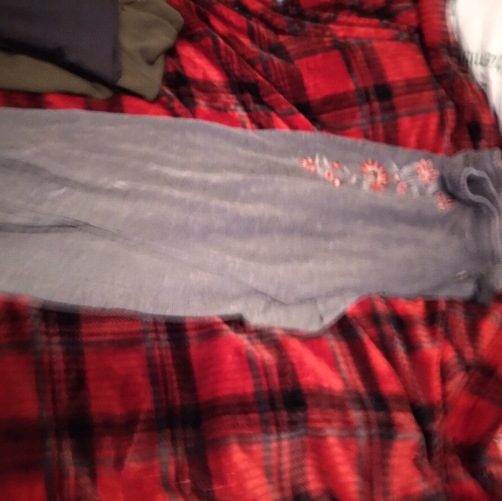Knox rose sweat pants